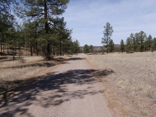 Arriving into Diamond Creek Valley.